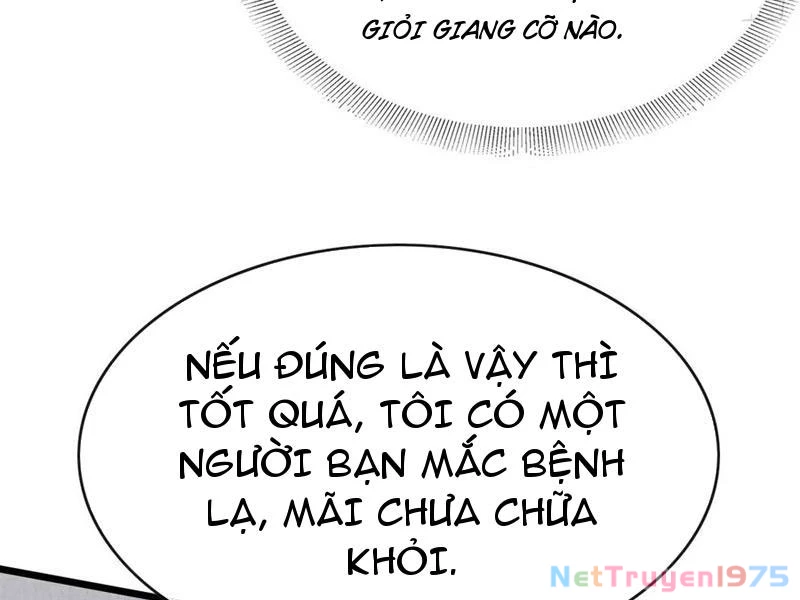Đại Lão Xuống Núi: Bắt Đầu Từ Việc Trở Thành Thư Ký Chapter 97 - 52