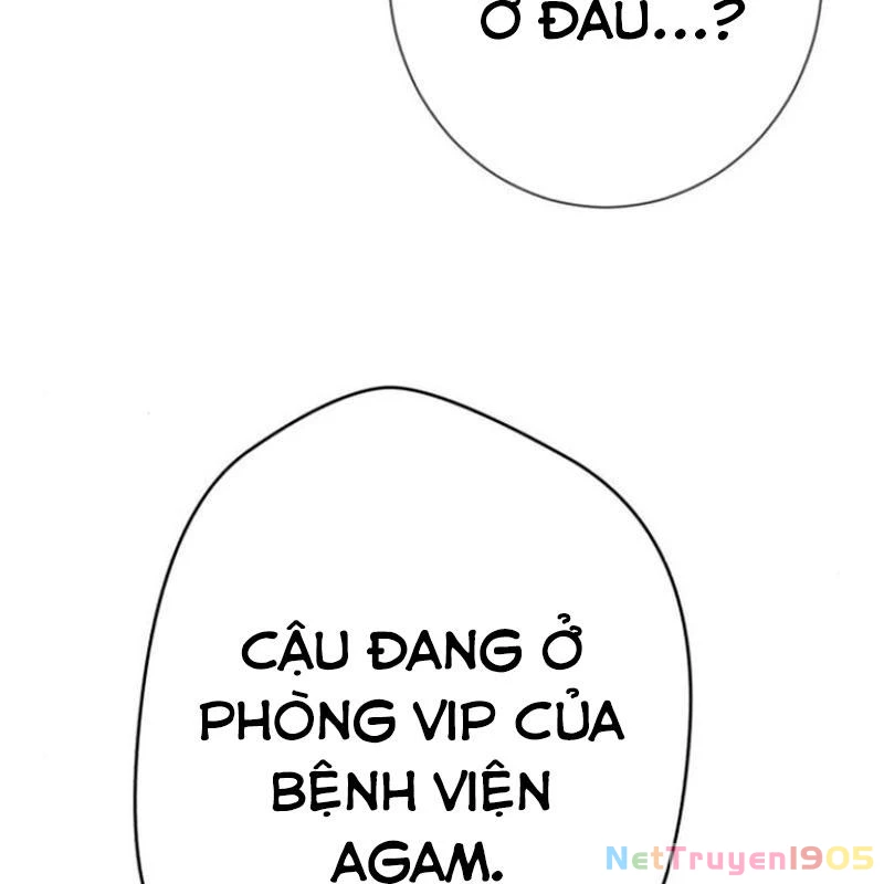 Lừa Đảo Bằng Giọng Nói Làm Đảo Lộn Cuộc Sống Của Bạn Chapter 33 - 240