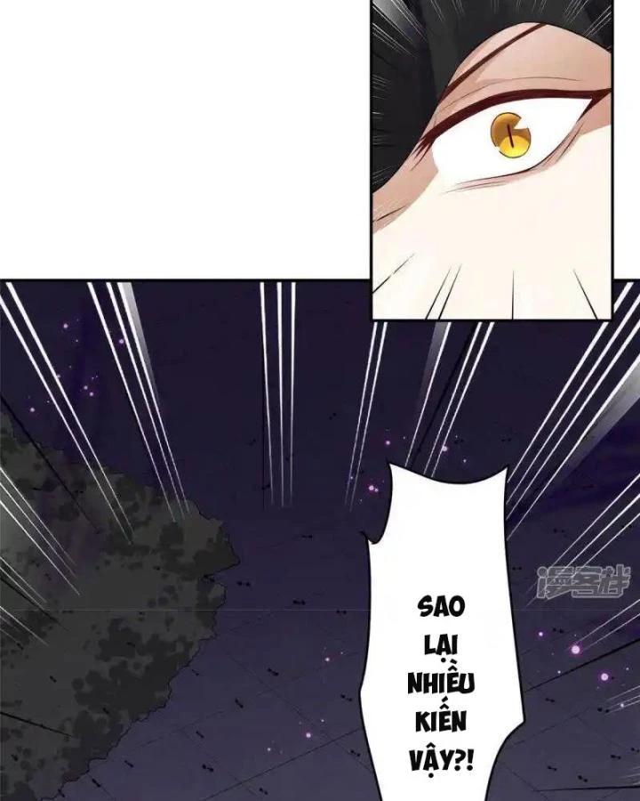 Hồ Ly Tinh Của Trẫm Chapter 78 - 63