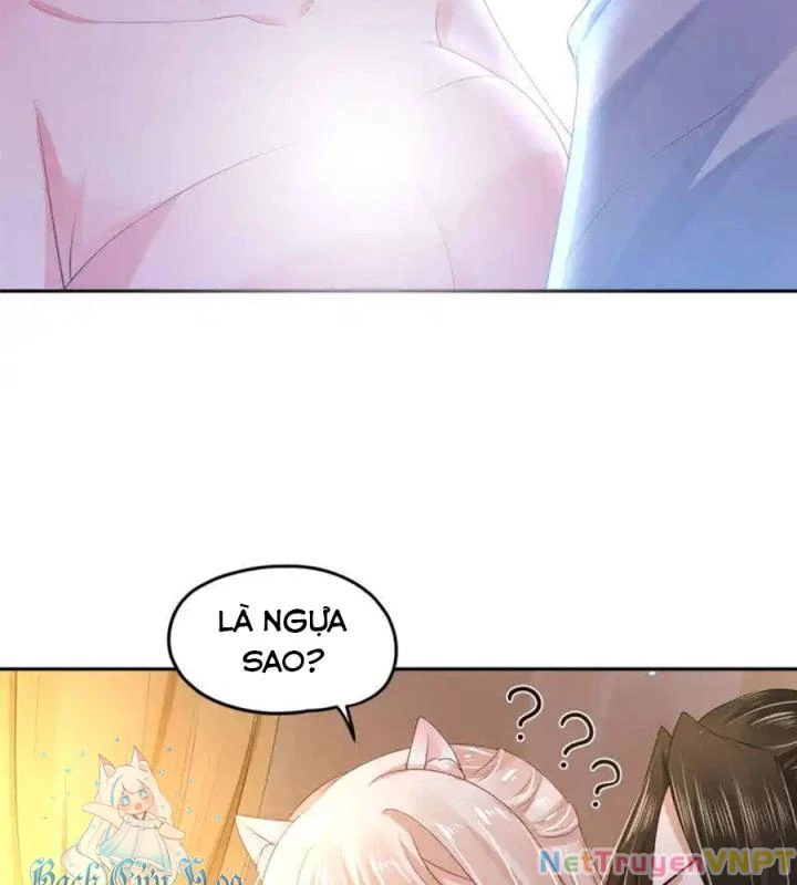 Hồ Ly Tinh Của Trẫm Chapter 85 - 43