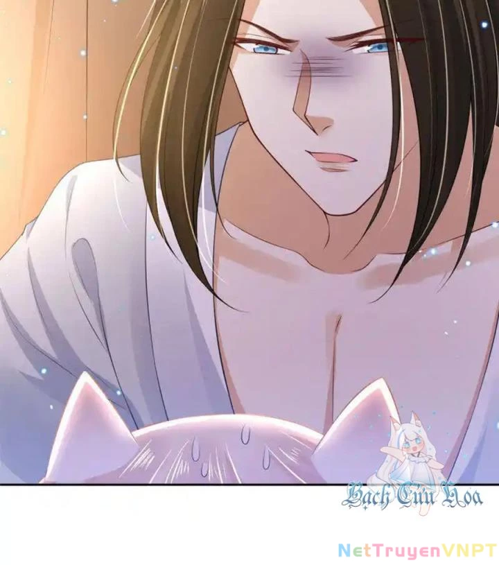 Hồ Ly Tinh Của Trẫm Chapter 85 - 46