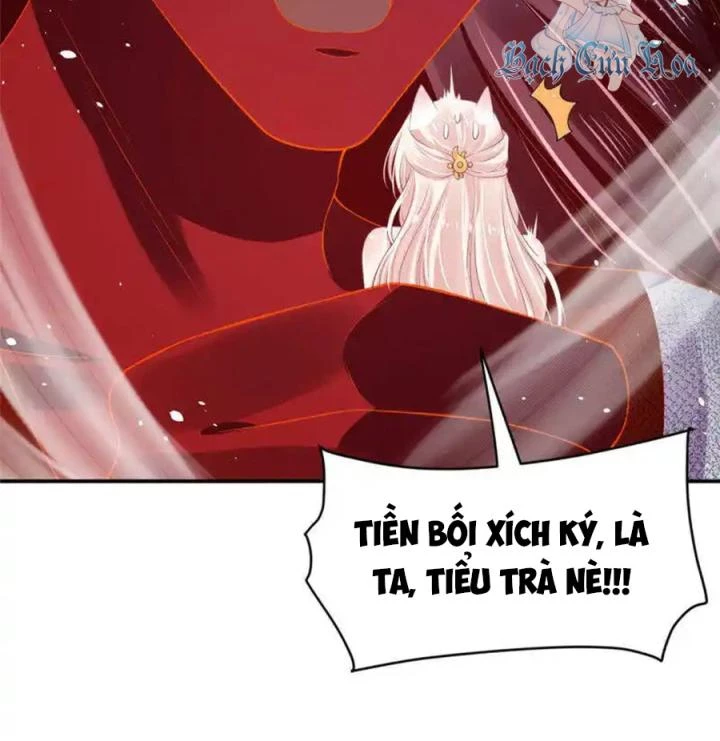 Hồ Ly Tinh Của Trẫm Chapter 87 - 52