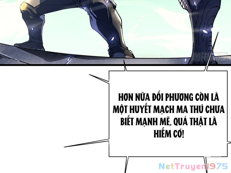 Cao Võ Tiến Hóa: Bắt Đầu Thức Tỉnh Quái Thú Chi Vương Chapter 8 - 3