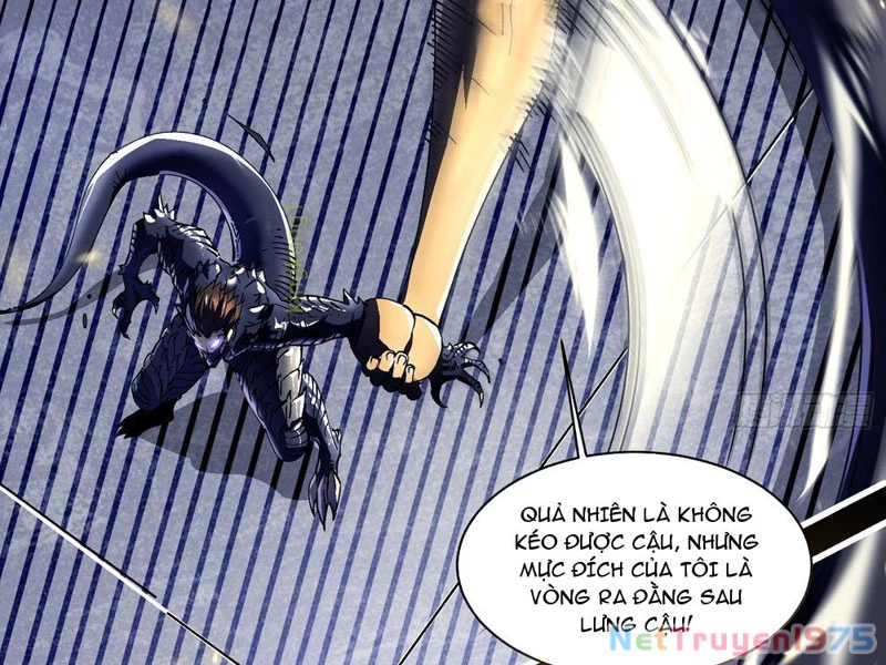 Cao Võ Tiến Hóa: Bắt Đầu Thức Tỉnh Quái Thú Chi Vương Chapter 8 - 17