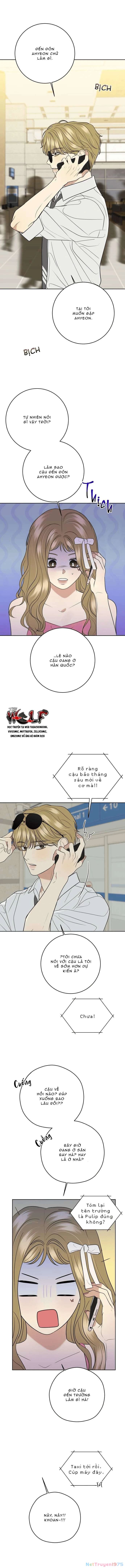 Kỷ Niệm Tuổi 19 Tồi Tệ Chapter 28 - 4