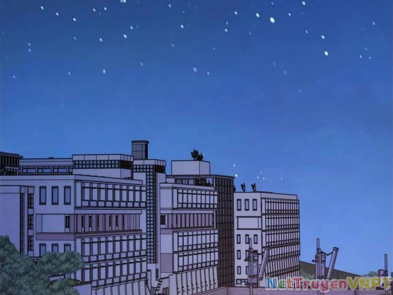 Trọng Sinh Không Làm Chạn Vương, Tôi Một Mình Nạp Game Thăng Cấp Chapter 217 - 3
