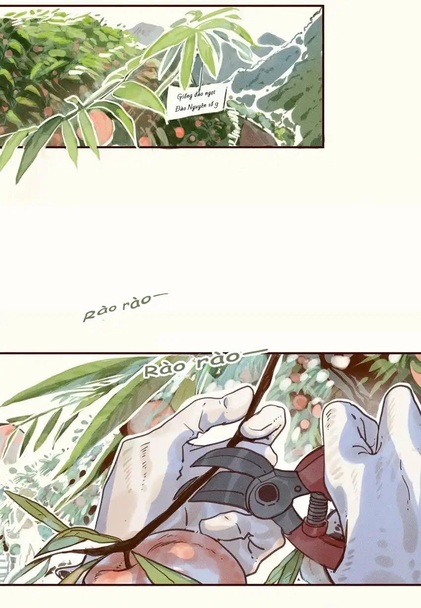 Cô Gái Thân Yêu Của Tôi Chapter 1 - Trang 2