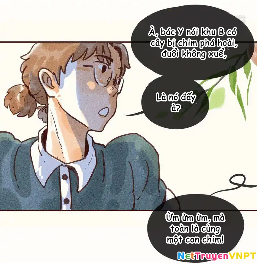 Cô Gái Thân Yêu Của Tôi Chapter 1 - Trang 2