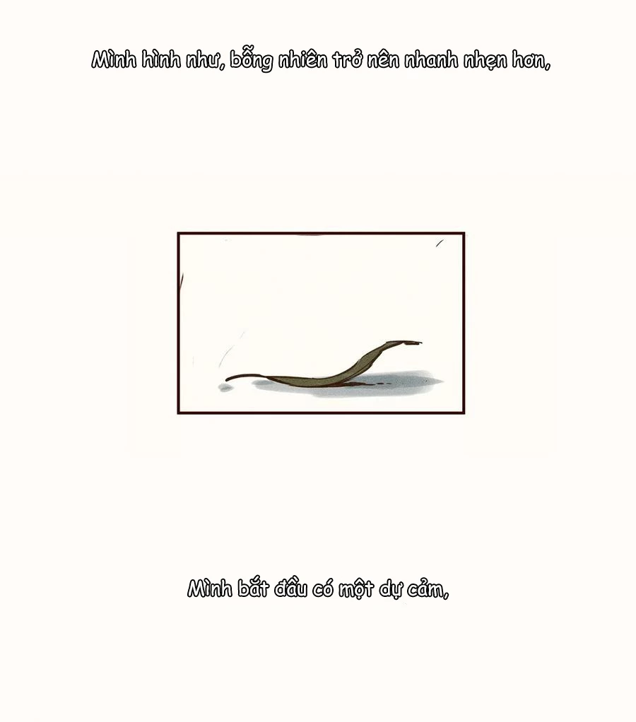 Cô Gái Thân Yêu Của Tôi Chapter 2 - Trang 2