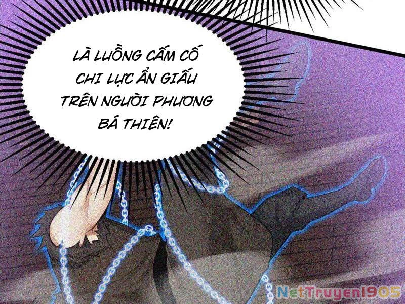 Đệ Tử Tu Luyện Còn Ta Thì Lười Biếng Chapter 174 - 88