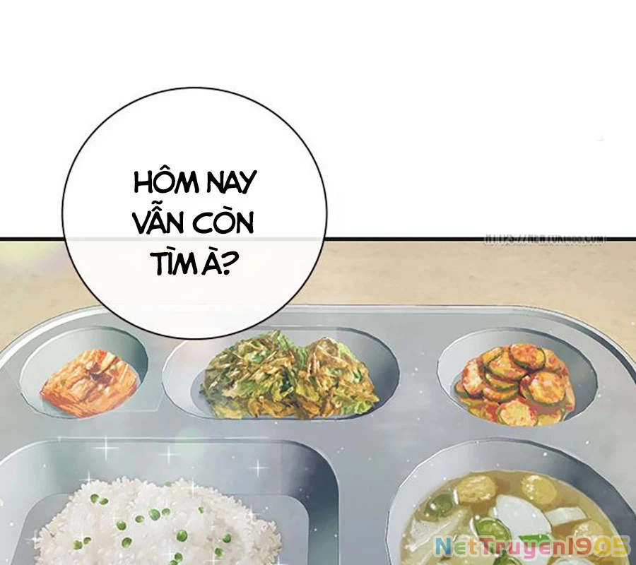 Nhà Tù Vị Thành Niên Chapter 47 - 209