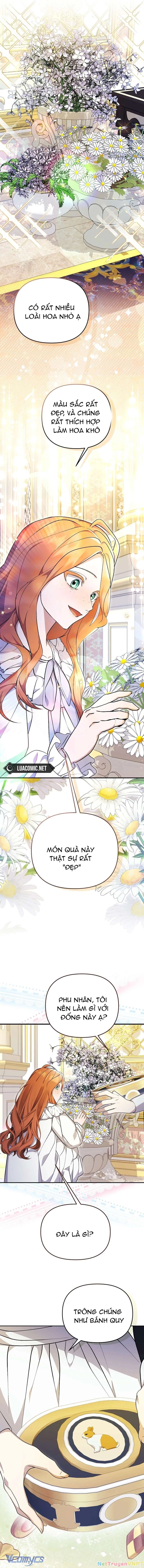Cô Vợ Xấu Xí Của Công Tước Ám Muội Chapter 11 - Trang 2