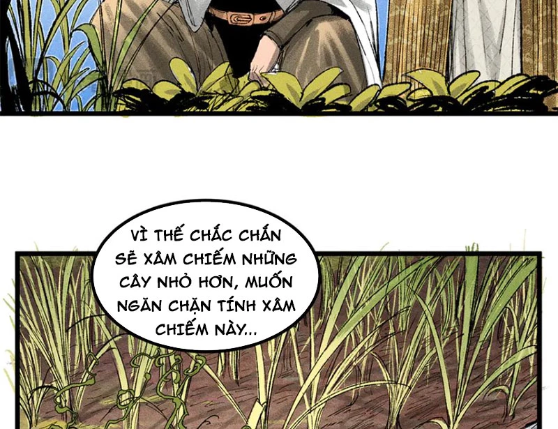 Thiên Hạ Đệ Nhất Lữ Bố Chapter 126 - 45