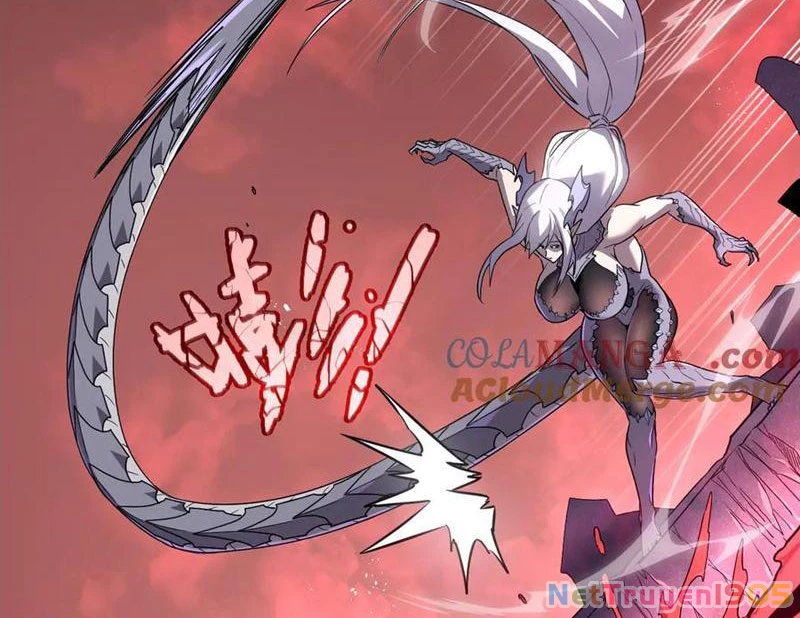 Hệ Thống Của Ta Thật Đứng Đắn Chapter 56 - 214