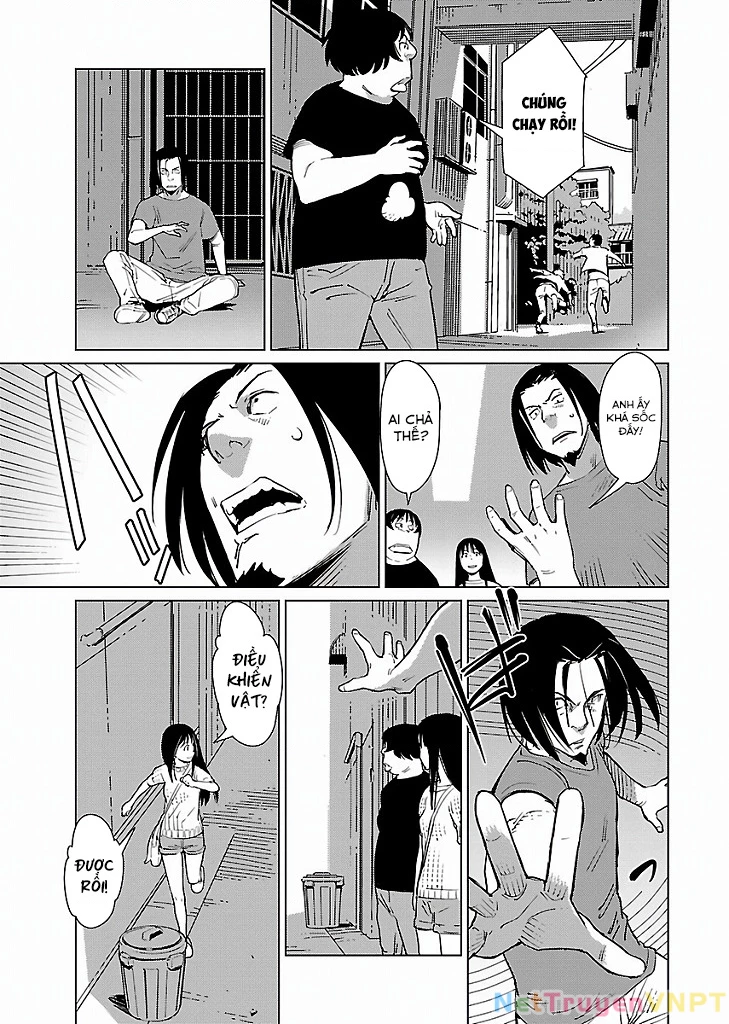 Mê Cung Triệu Chiếu Chapter 15 - 8