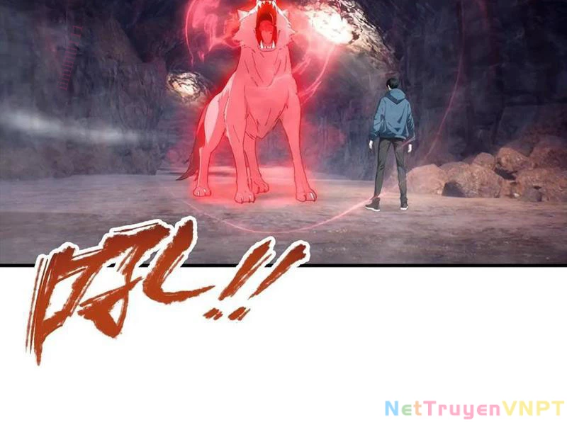 Toàn Dân Ngự Thú: Bắt Đầu Từ Sơn Hải Kinh Ta Quét Ngang Toàn Cầu Chapter 28 - Trang 2