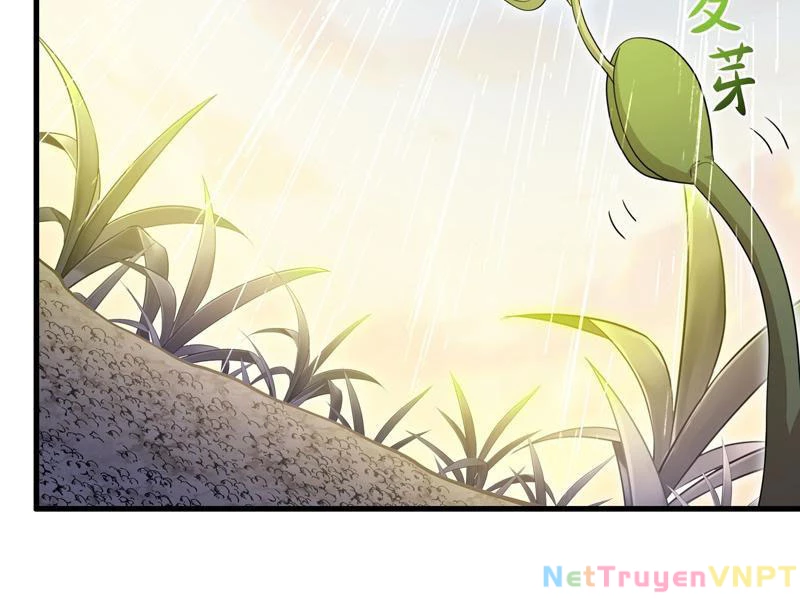 Trụ Vương Tái Sinh Không Muốn Làm Đại Phản Diện Chapter 108 - 38