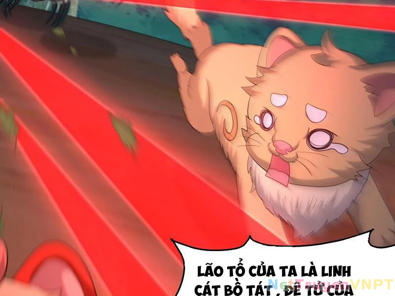 Trụ Vương Tái Sinh Không Muốn Làm Đại Phản Diện Chapter 108 - 65