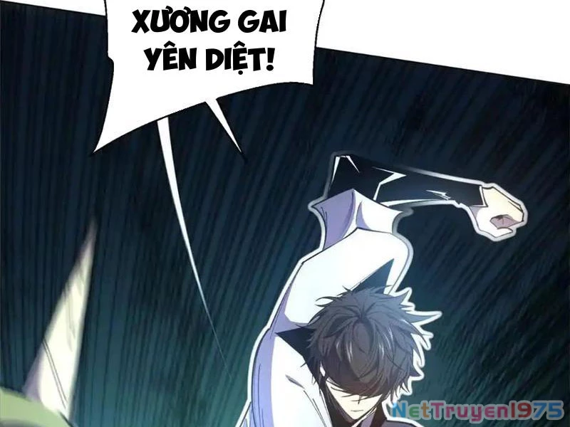 Ta Thành Vương Giả Từ Khắc Kim Chapter 27 - Trang 2