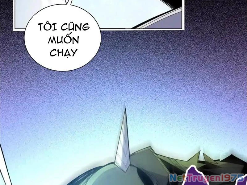 Ta Thành Vương Giả Từ Khắc Kim Chapter 27 - Trang 2