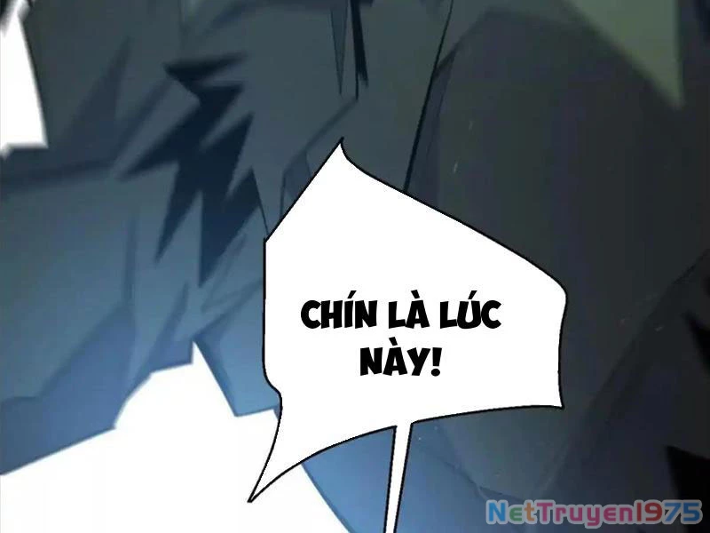 Ta Thành Vương Giả Từ Khắc Kim Chapter 27 - Trang 2
