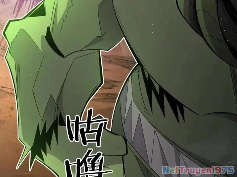 Ta Thành Vương Giả Từ Khắc Kim Chapter 27 - Trang 2