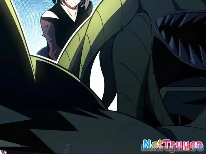 Ta Thành Vương Giả Từ Khắc Kim Chapter 27 - Trang 2