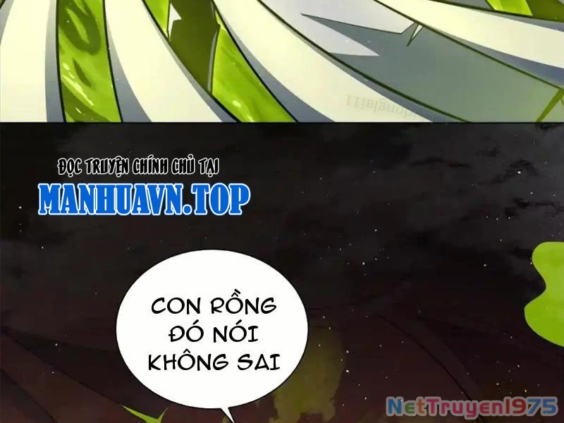 Ta Thành Vương Giả Từ Khắc Kim Chapter 27 - Trang 2