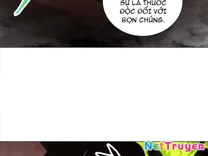 Ta Thành Vương Giả Từ Khắc Kim Chapter 27 - Trang 2