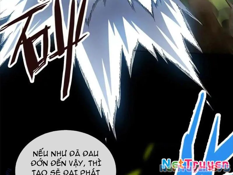 Ta Thành Vương Giả Từ Khắc Kim Chapter 27 - Trang 2
