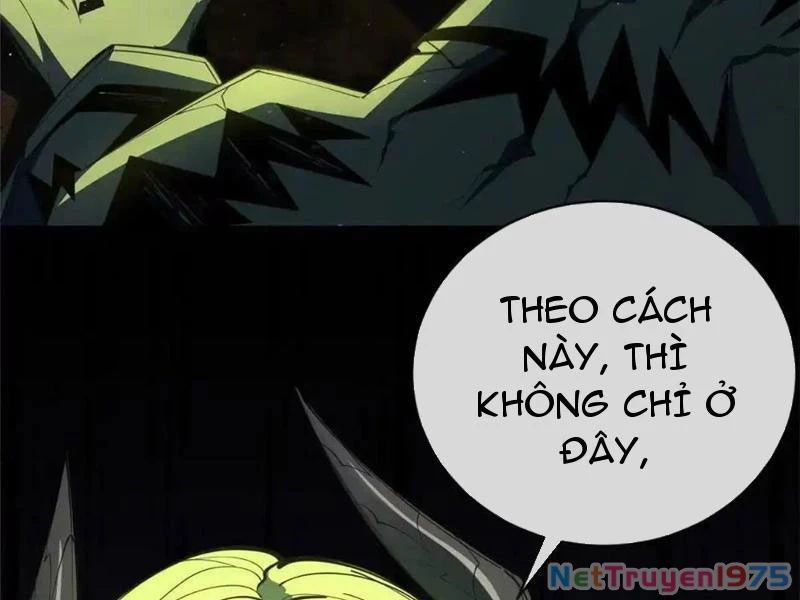 Ta Thành Vương Giả Từ Khắc Kim Chapter 27 - Trang 2