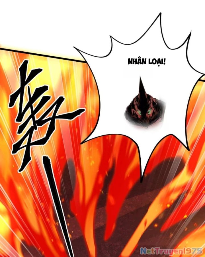 Mạt Thế Cẩu Sinh: Gián Giúp Ta Chồng Buff Chapter 23 - 49