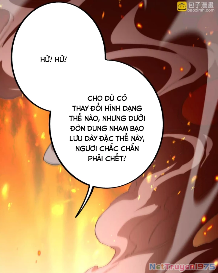 Mạt Thế Cẩu Sinh: Gián Giúp Ta Chồng Buff Chapter 24 - 21