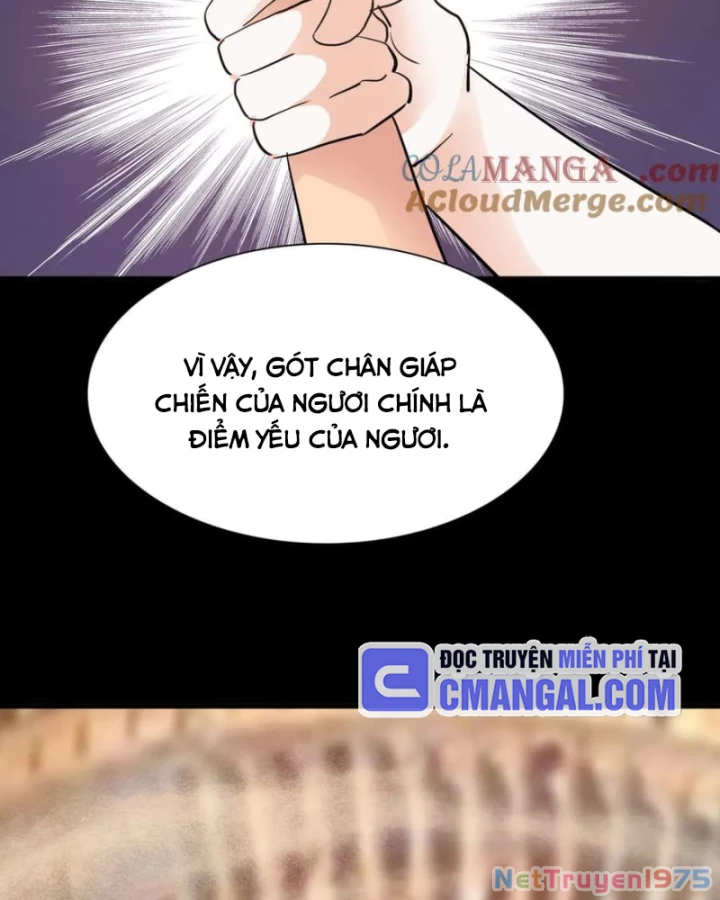 Học Viện Chiến Giáp Chapter 28 - 33