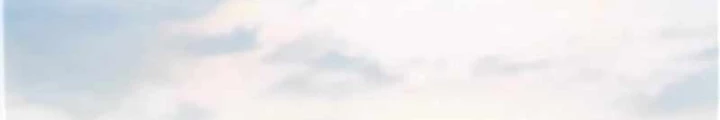 Hoá Thân Thành Mèo Chapter 347 - 86