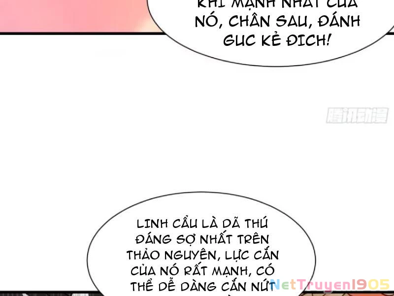 Bỏ Làm Simp Chúa, Ta Có Trong Tay Cả Tỉ Thần Hào! Chapter 197 - 5
