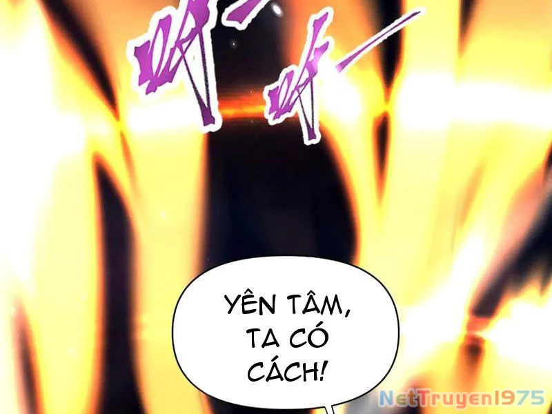 Bắt Đầu Chấn Kinh Nữ Đế Lão Bà, Ta Vô Địch! Chapter 73 - 174