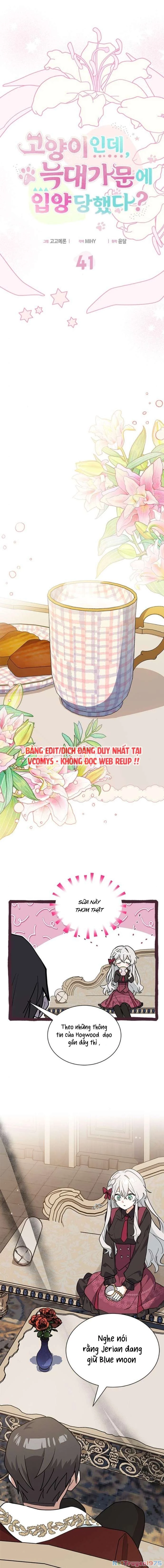 Mèo Con Được Gia Tộc Sói Nhận Nuôi? Chapter 41 - 4