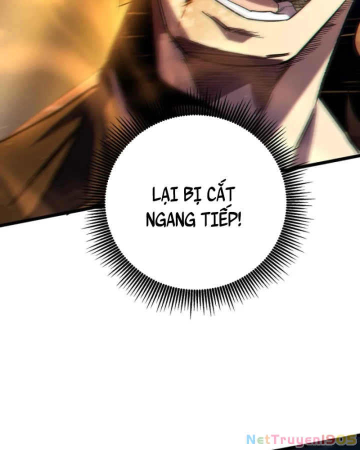 Vô Địch Bị Động Tạo Ra Tấn Sát Thương Chapter 77 - 47