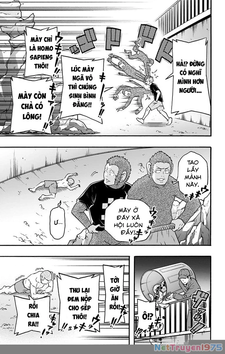 Haikyuu-Bu Chapter 67 - 5
