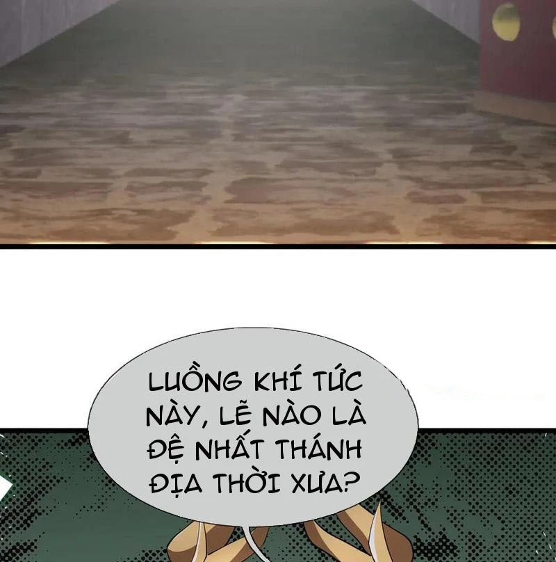 Ngủ Say Vạn Cổ: Xuất Thế Quét Ngang Chư Thiên Chapter 99 - 25