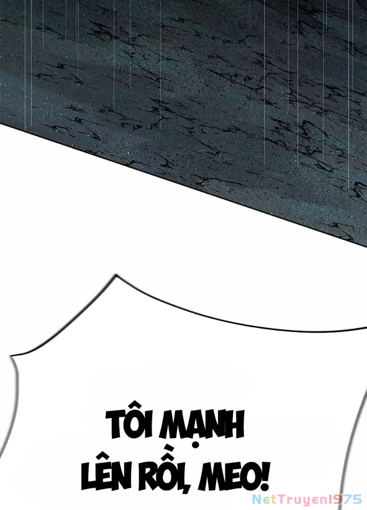 Tôi Chỉ Là Người Khuân Vác Trong Hầm Ngục Chapter 16 - 329