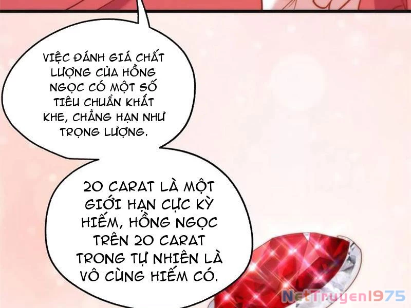 Trọng Sinh Không Làm Chạn Vương, Tôi Một Mình Nạp Game Thăng Cấp Chapter 219 - 96