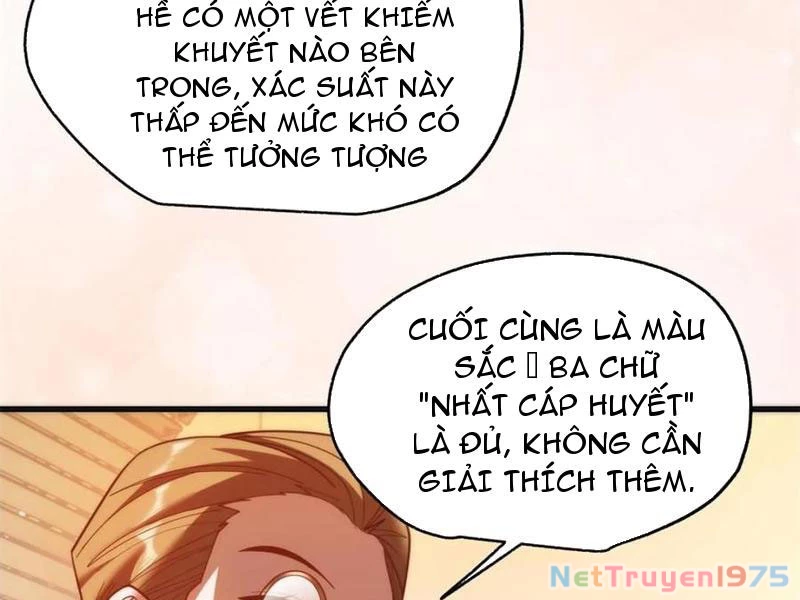 Trọng Sinh Không Làm Chạn Vương, Tôi Một Mình Nạp Game Thăng Cấp Chapter 219 - 100