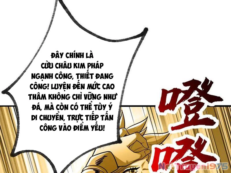 Giết Ta Thêm Vài Lần Nữa, Ta Liền Trở Thành Vô Địch! Chapter 70 - 77
