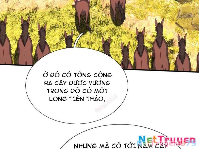 Bắt đầu từ việc chống đẩy một vạn cái: Ta oanh sát thần minh Chapter 50 - Trang 2
