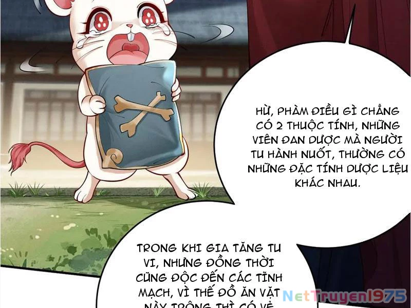 Gặp Mạnh Thì Mạnh, Ta Tu Vi Vô Thượng Hạn Chapter 39 - 6
