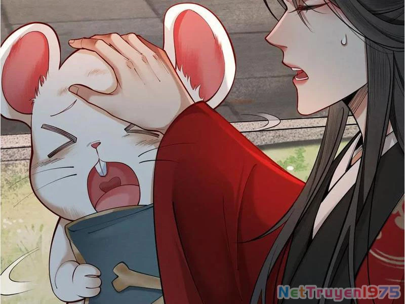 Gặp Mạnh Thì Mạnh, Ta Tu Vi Vô Thượng Hạn Chapter 39 - 10