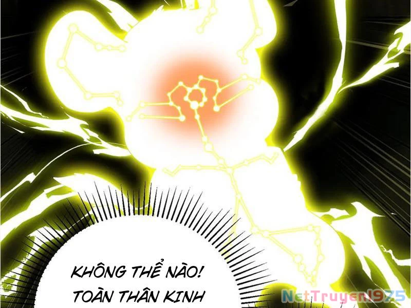 Gặp Mạnh Thì Mạnh, Ta Tu Vi Vô Thượng Hạn Chapter 39 - 14