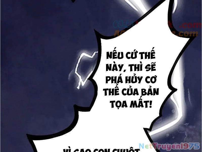 Gặp Mạnh Thì Mạnh, Ta Tu Vi Vô Thượng Hạn Chapter 39 - 38